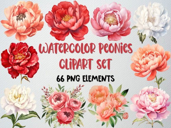 Download Watercolor Peonies Clipart, Floral Png - Floral Collection